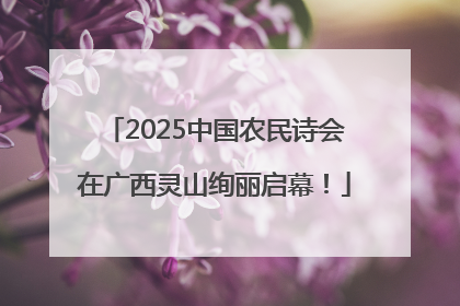 2025中国农民诗会在广西灵山绚丽启幕！